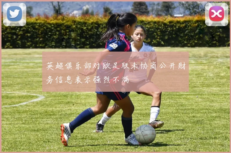 英超俱乐部对欧足联未协商公开财务信息表示强烈不满