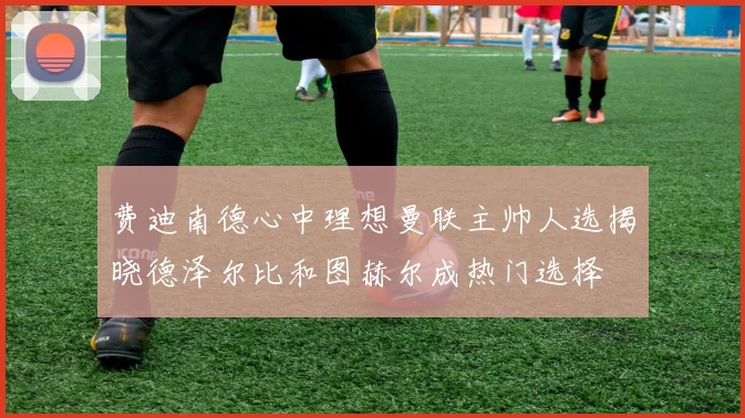 费迪南德心中理想曼联主帅人选揭晓德泽尔比和图赫尔成热门选择