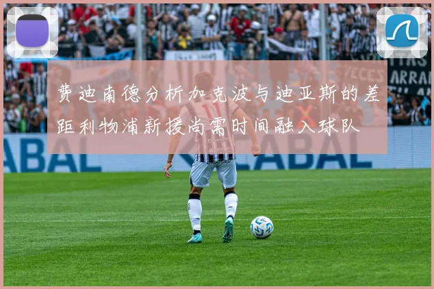 费迪南德分析加克波与迪亚斯的差距利物浦新援尚需时间融入球队