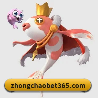 中超体育 APP